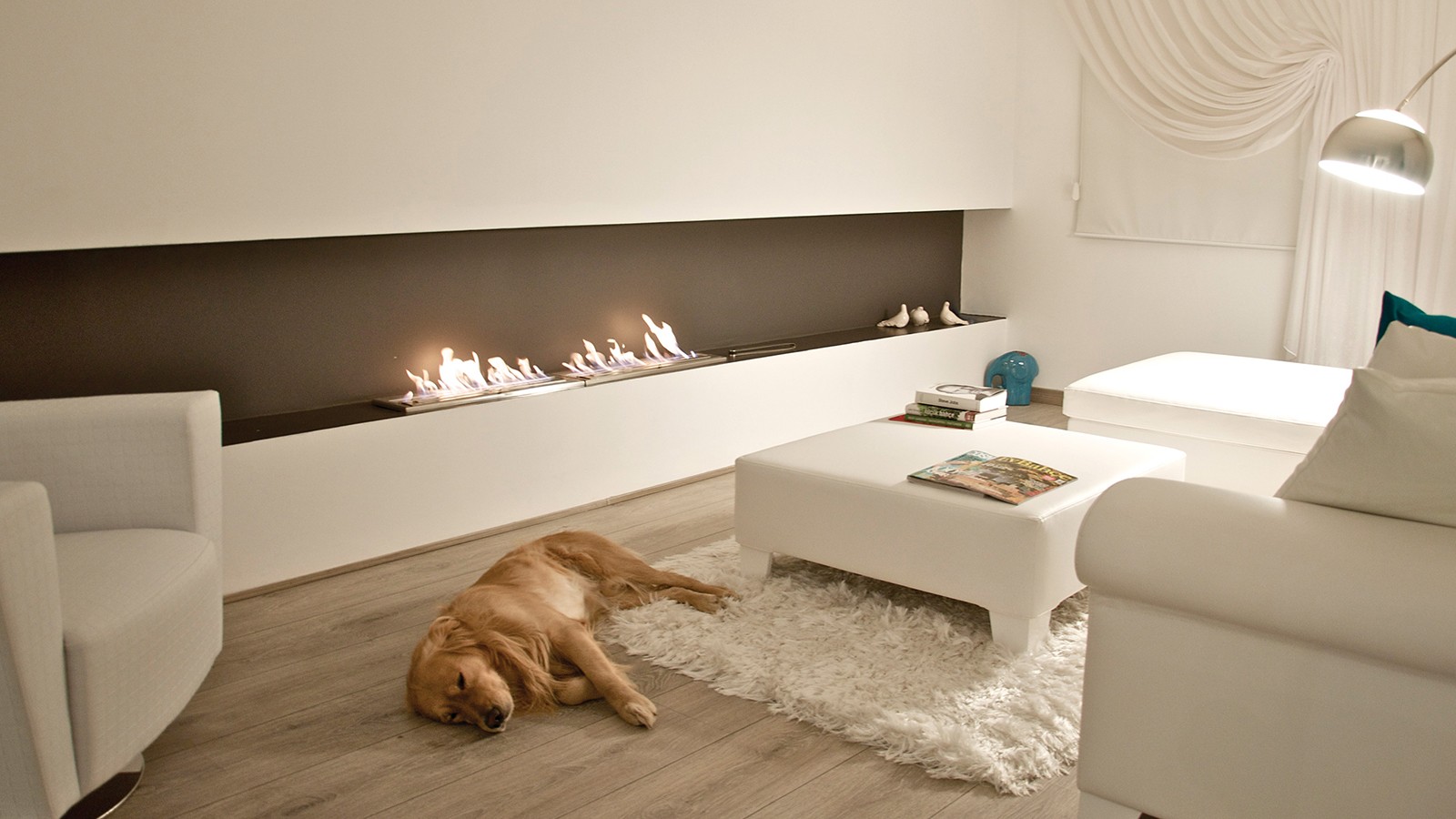 XL900 Ethanol Burner