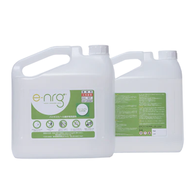 e-NRG 10L